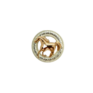 CONCHO CABALLO GALOPE ORO/PLATA CCH-GS928